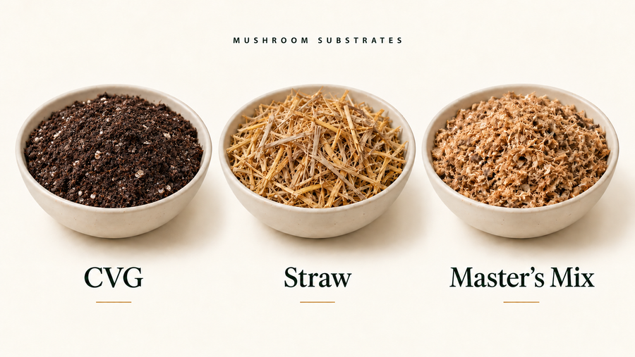 CVG vs. Master’s Mix vs. Straw: Mushroom Substrate Guide