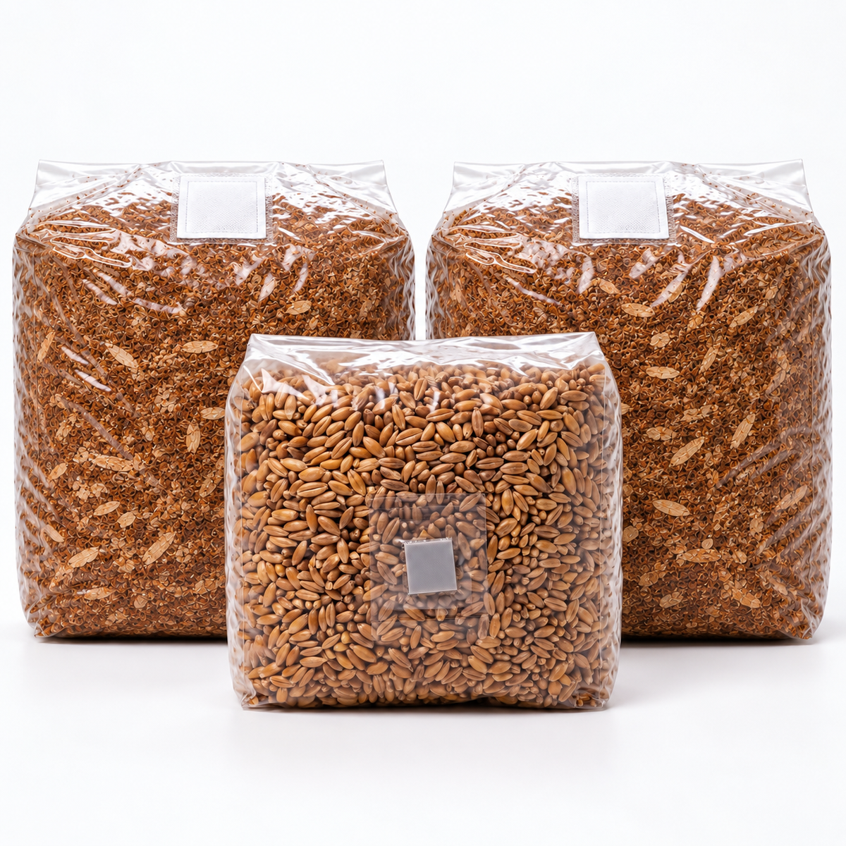 Wood-lover's grow kit with one grain spawn bag and two Master's Mix bags
