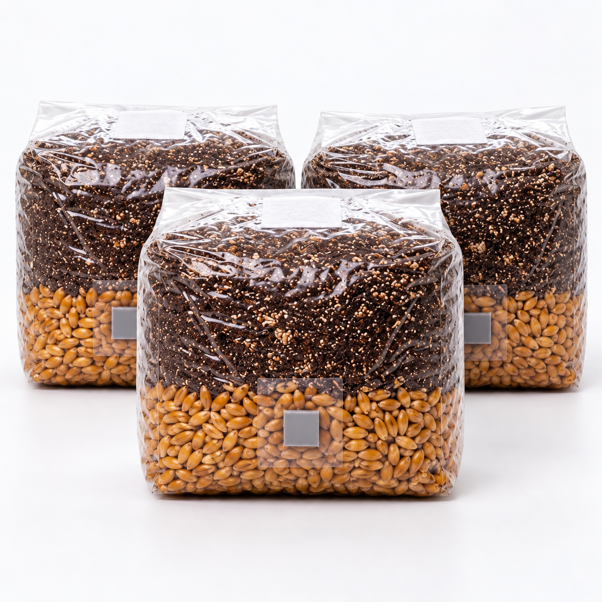 Three 3lb all-in-one mushroom grow bags