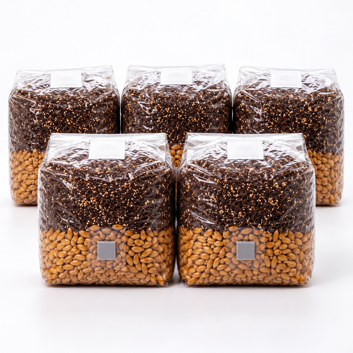 Five 3lb all-in-one mushroom grow bags