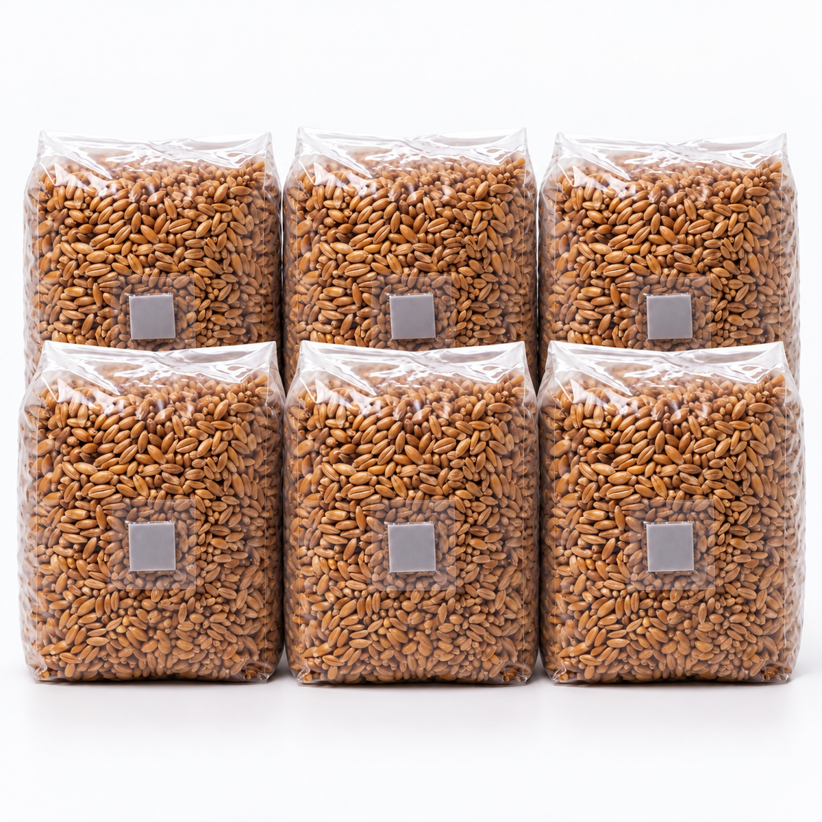 Six 3lb sterilized grain spawn bags