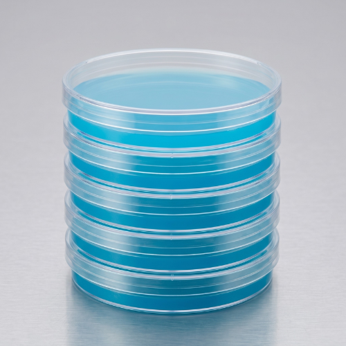 Pack of 10 pre-poured MEA agar plates