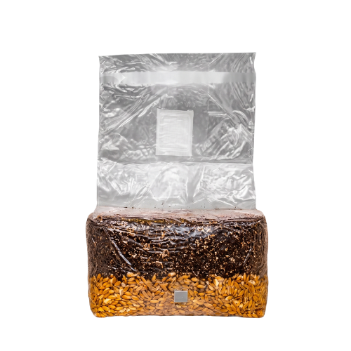 Premium All-in-One Mushroom Grow Bag — 5lb | Ready to Inoculate