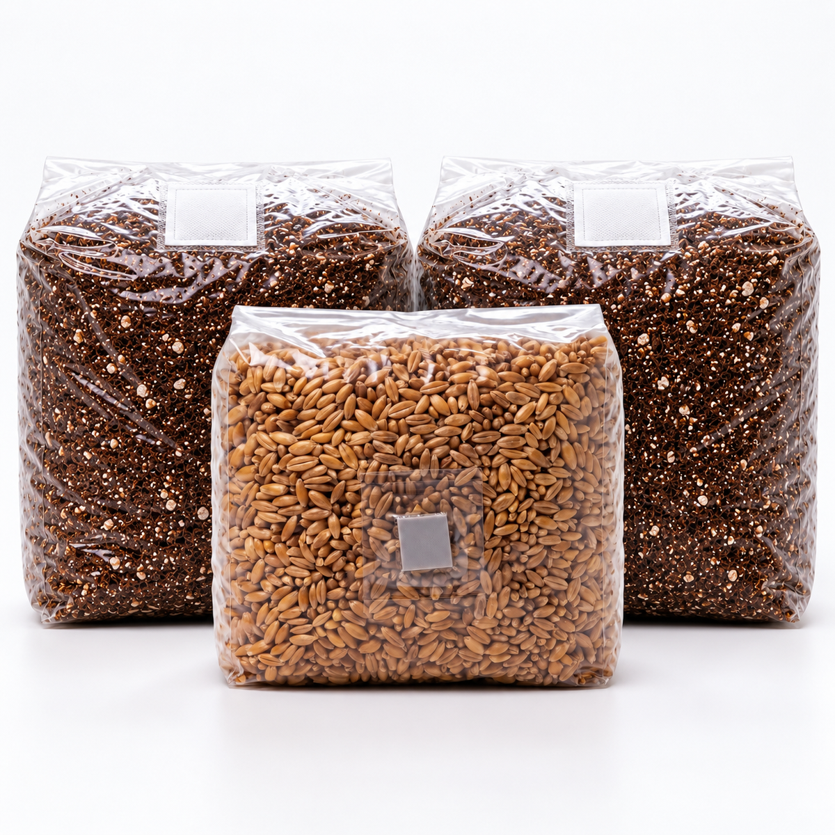 Monotub grow kit with one grain spawn bag and two CVG substrate bags