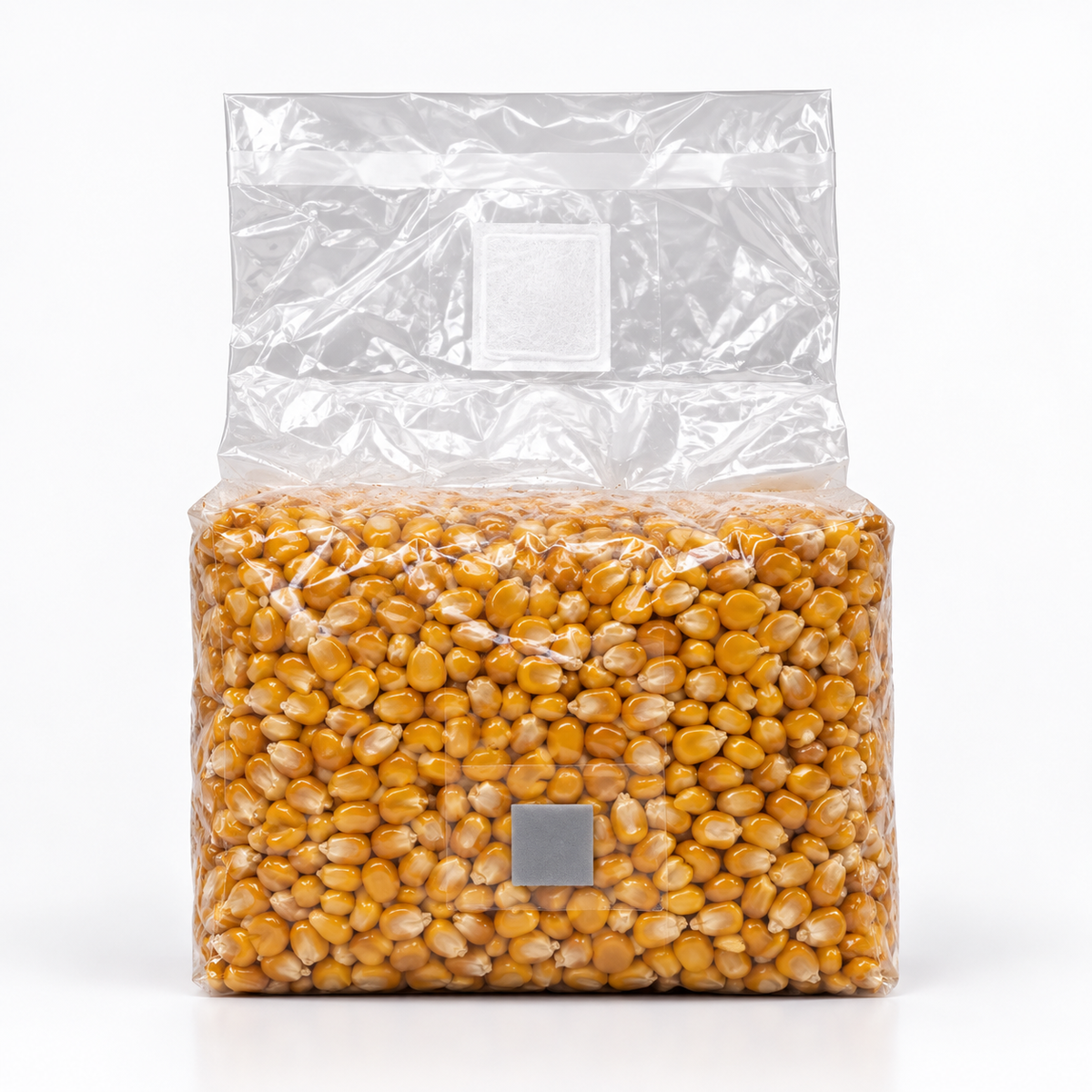 3lb sterilized popcorn grain spawn bag