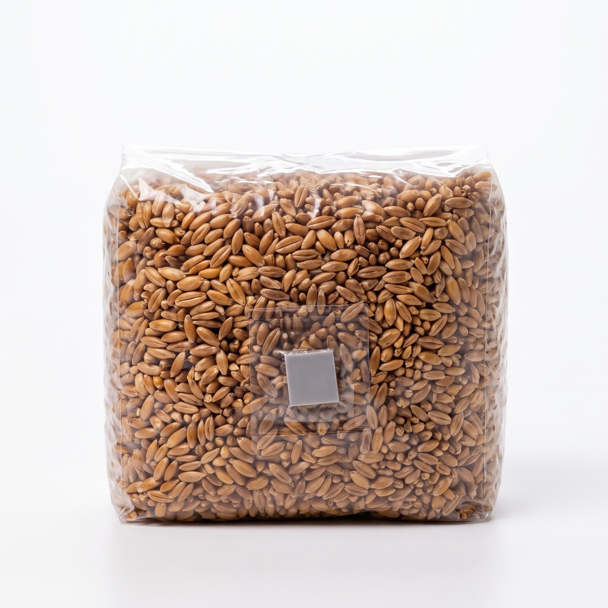 3lb sterilized rye grain spawn bag with injection port