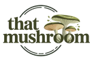That Mushroom - Home